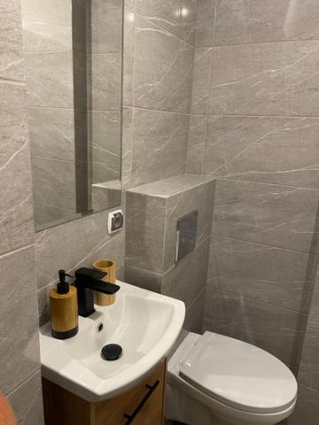 Apartament Centrum II Лидзбарк-Варминьский Экстерьер фото